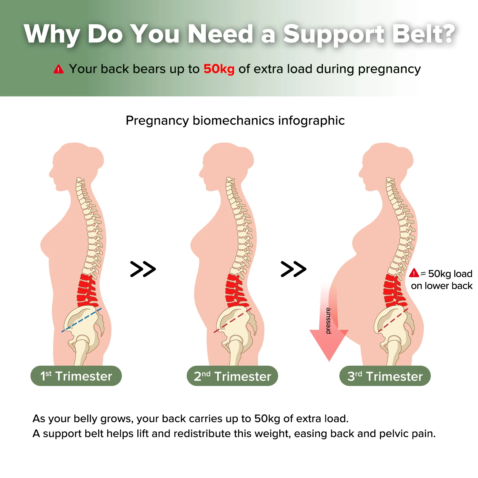 360° Maternity Lift & Support Band - Image 3