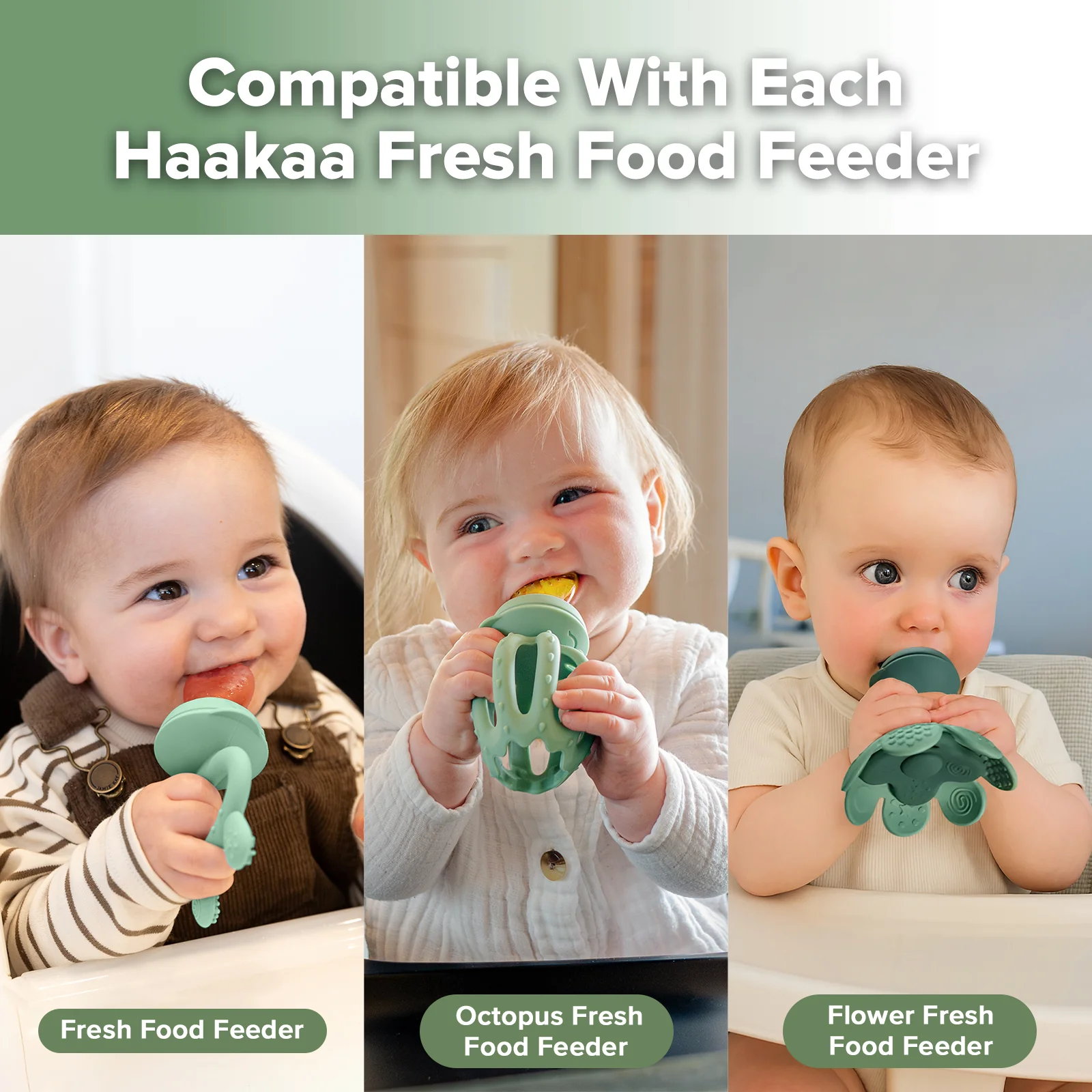 Fresh Food Feeder One-piece Replacement Pouch - L - Image 4