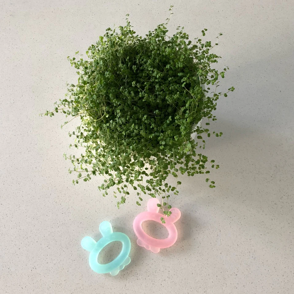 Silicone Rabbit Ear Teether - Image 4