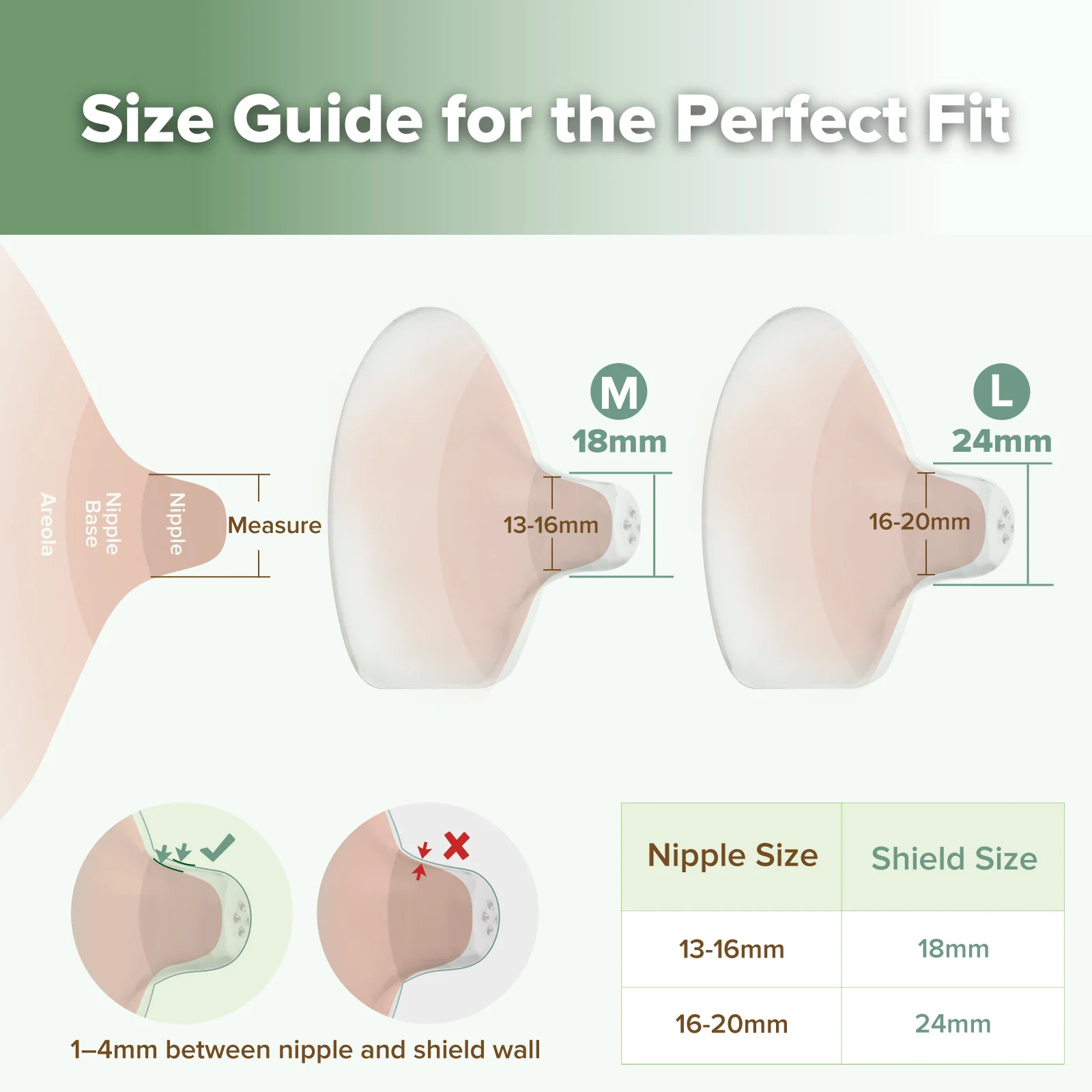 Silicone Nipple Shields 2 Pack - Image 7